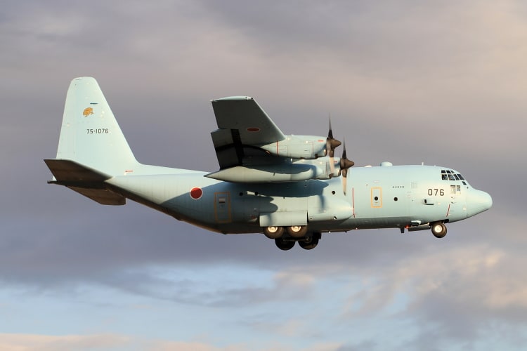 航空自衛隊 C-130H ( 75-1076 / 第1輸送航空隊 第401飛行隊 航空自衛隊 C-130H ( 75-1076 / 第1輸送航空隊 第401飛行隊