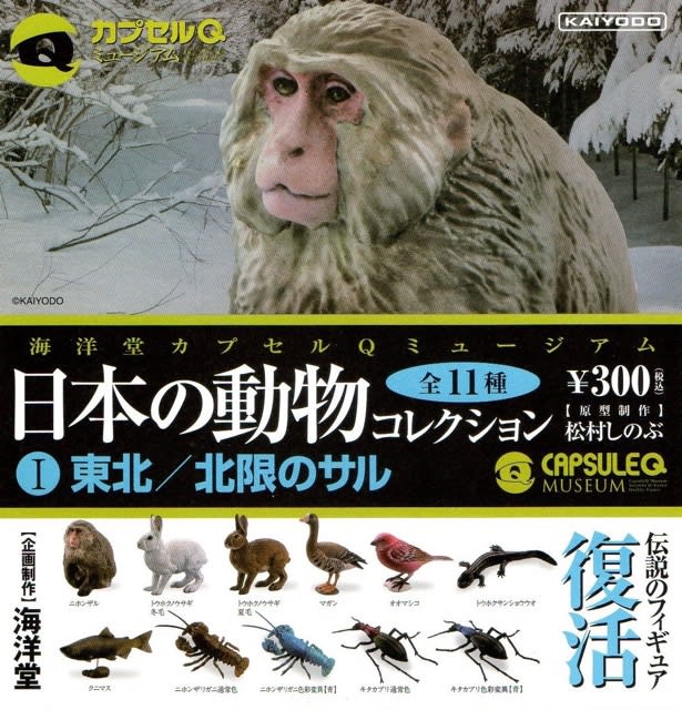カプセルQ 日本の動物 北海道 たのしい イイズナ 冬毛