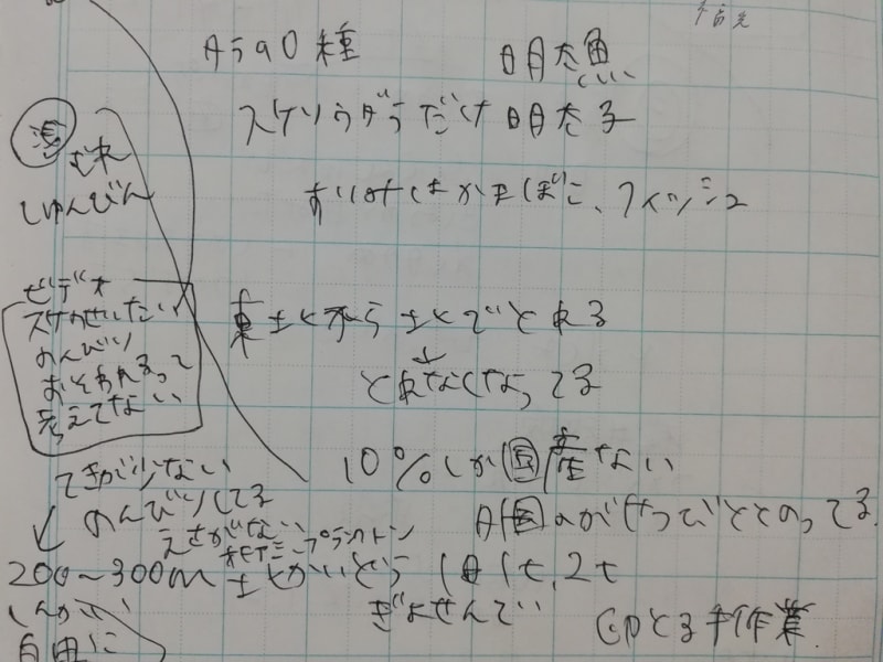 明太子に関するお仕事 めんたいパークでガイド 編 ラブラブメンタイハッピーライフ 明太子に関するお仕事 めんたいパークでガイド 編 ラブラブメンタイハッピーライフ