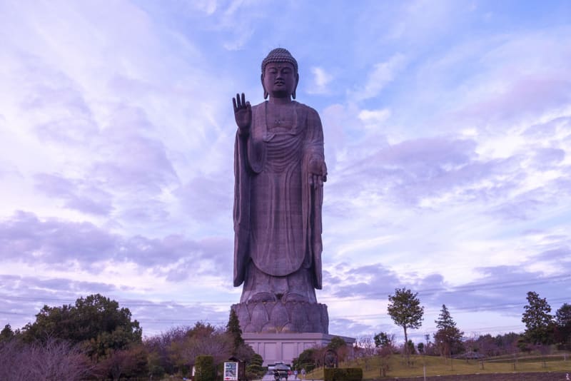 巨大仏に魅せられて【東日本編】 - 仏像ピクトgooブログ