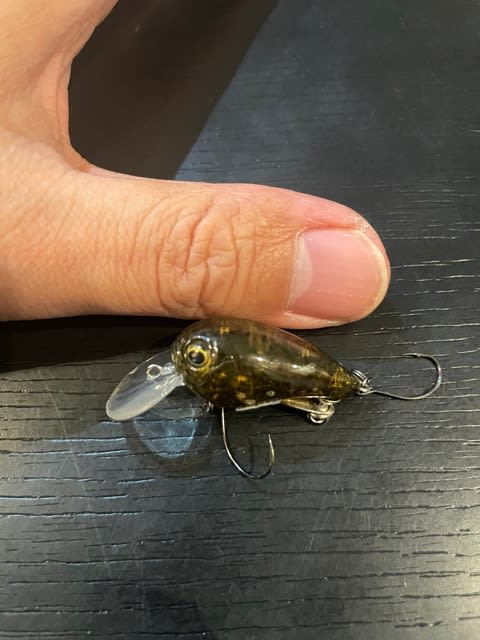 豆バッツの使い方‼️ - バス釣りハンターハンター 豆バッツの使い方‼️ - バス釣りハンターハンター