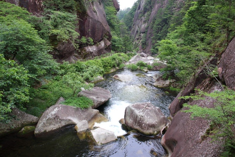 遅かったセッコク 令和7年6月9日 - 山梨百名山から見る風景