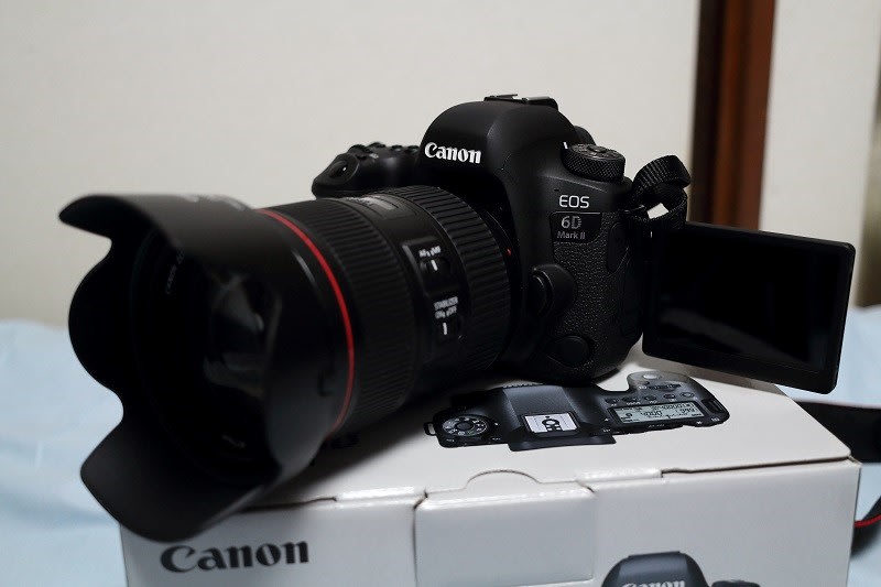 EOS 6D Mark IIとEF24-105mm F4L IS II USMを購入しました - 80 EOS 6D Mark IIとEF24-105mm F4L IS II USMを購入しました - 80