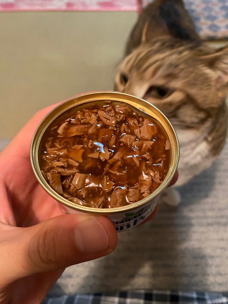 猫のごはんを食べてみる ～モンプチ缶 ロースト牛肉 篇