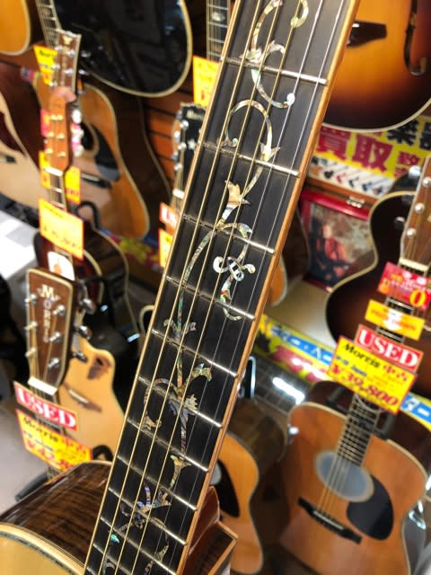 中古情報】アストリアス「Tree of Life」が入荷致しました