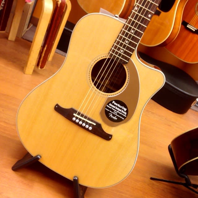 大人気！】Fenderのアコギをざっくりご紹介！ - 下倉楽器本店 LM