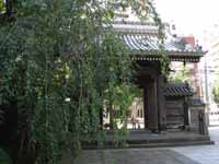 上原勇作 - Wikipedia