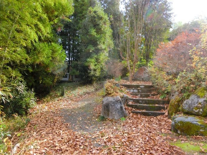 新沼窯跡（埼玉県鳩山町） - 四季・めぐりめぐりて