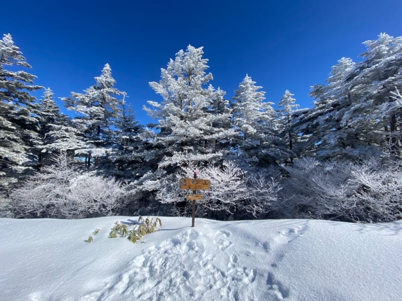 日本画 恵那山 冬