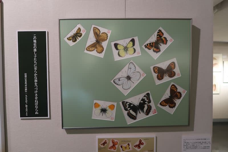 田淵行男作品展『高山蝶 美しいナイン』を観てきました 田淵行男作品展『高山蝶 美しいナイン』を観てきました