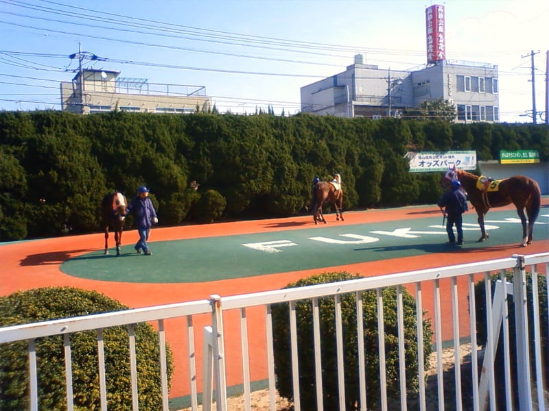 初広島県～福山競馬場 - 馬好き獅子狂の日記
