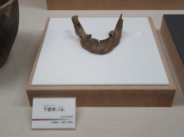 今池尻遺跡 新方遺跡 平松地点 発掘調査報告書 神戸市教育委員会