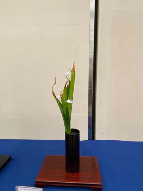 日本生花司松月堂古流 いけばな展 - 梨花の日本生花司松月堂古流