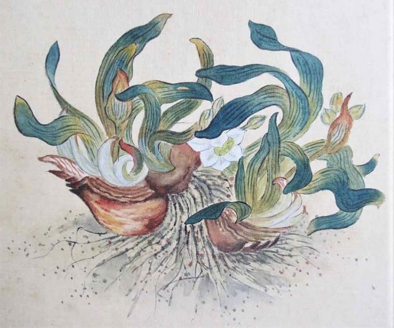 岸田劉生 絵画 岸田劉生の買取価格は高額です│鑑定無料で相場もわかる。我楽洞