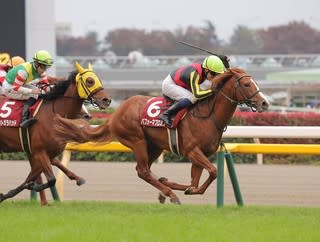 G1馬 ラキシス 実使用 調教ゼッケン 競馬 ウマ娘 ディープ G1馬 ラキシス 実使用 調教ゼッケン 競馬 ウマ娘 ディープ