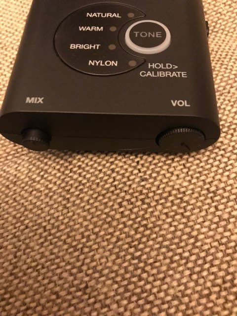 レインソング Rain Song(エレアコ)奮闘記・完結(iRig acoustic レインソング Rain Song(エレアコ)奮闘記・完結(iRig acoustic