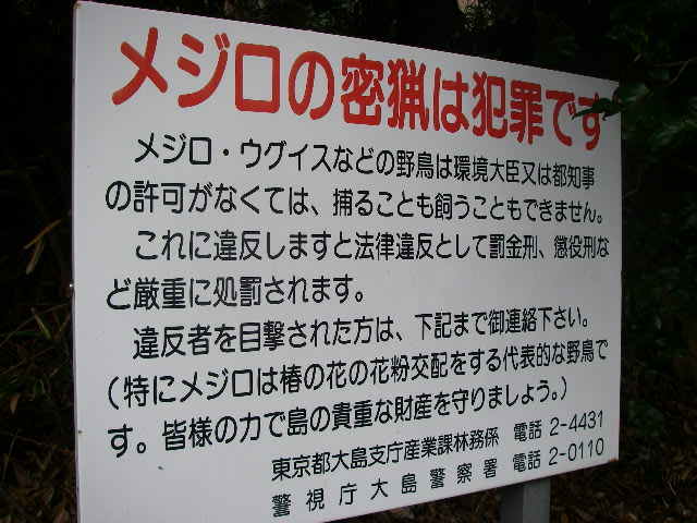 メジロ籠のこと - グローバルネイチャークラブのガイド日記