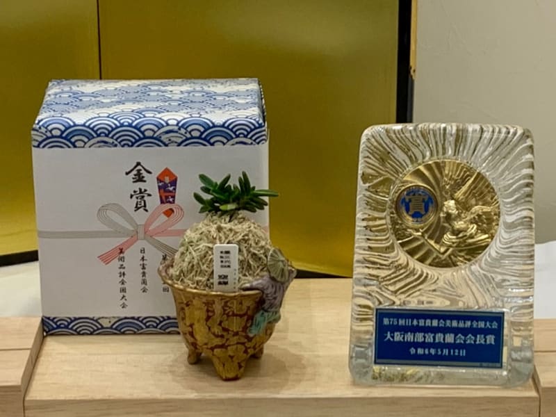 特別賞受賞作品 第75回日本富貴蘭会美術品評全国大会（和歌山