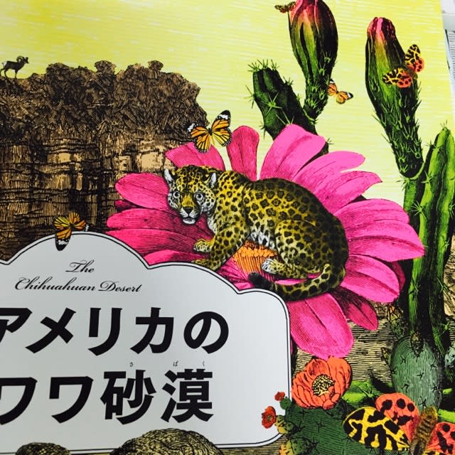 世界で一番美しい絵本図鑑『ワンダーガーデン 生命の扉』 - 帽子