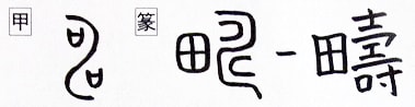 壽字 This kanji 