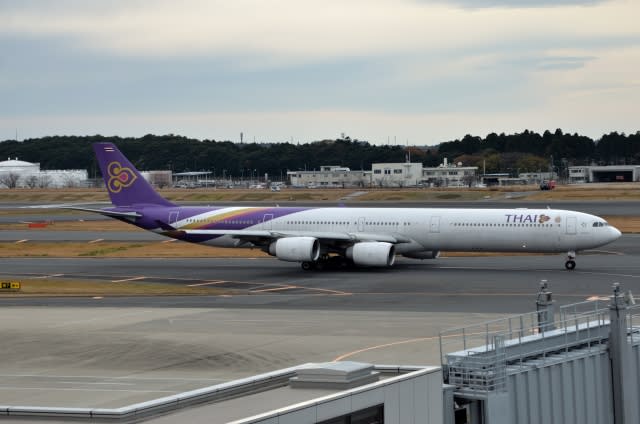 タイ国際航空のエアバスA340－600＠成田空港 （11月