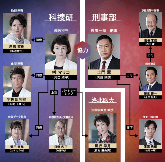 新・科捜研の女 '06 DVD 全巻セット ドラマ 沢口靖子 内藤剛志