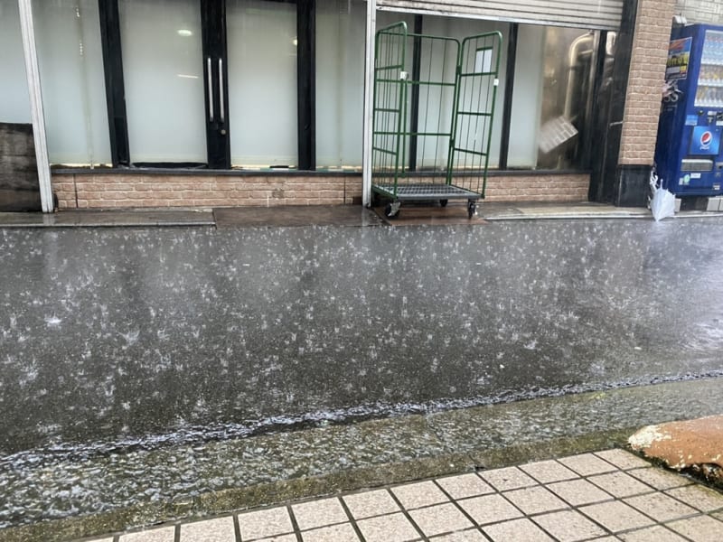 キャッチャーミット 雨で滑ってスライディングで右足首骨折 出たところ Adrenaline