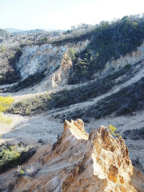 2025年2月14日(金) [六甲]白水山尾根から六甲最高峰、白石谷から