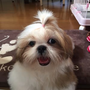 Nana-chan - YouTube