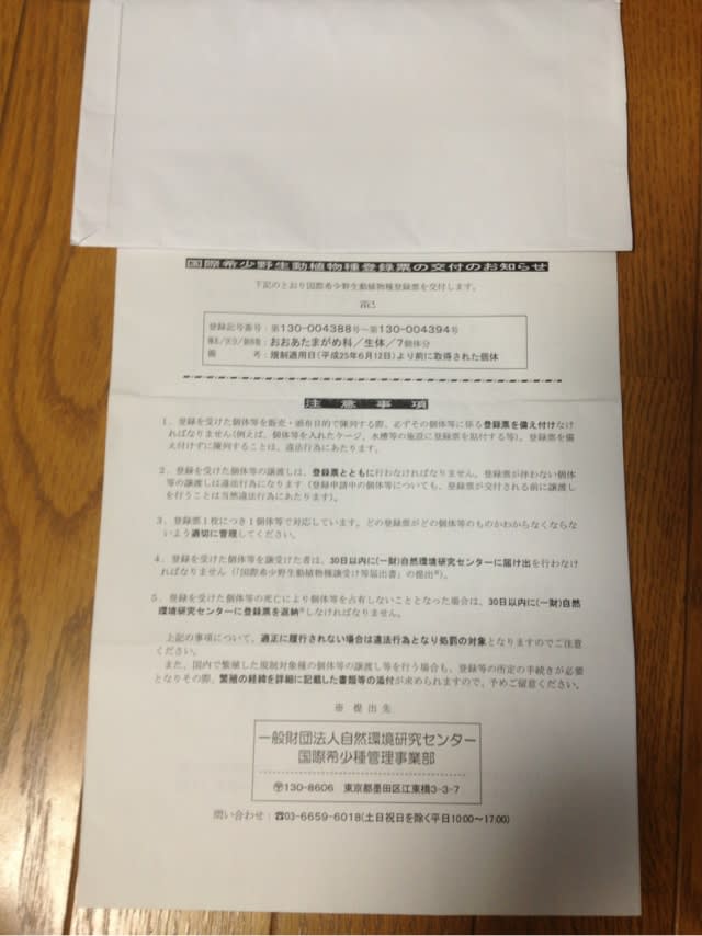 国際希少種登録への道 4 - 亀仙人になりたい 国際希少種登録への道 4 - 亀仙人になりたい