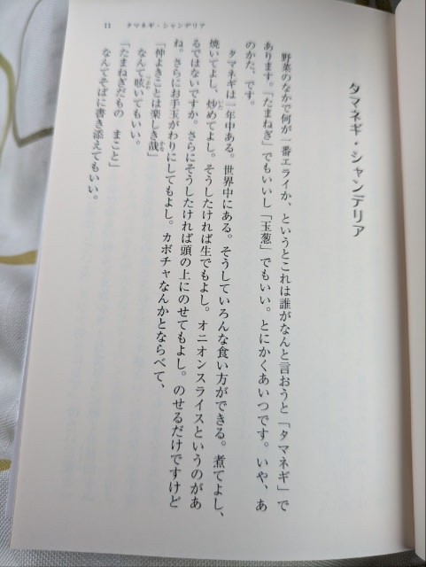 椎名誠さん写真展 | HIROKA KISHIMOTO | 岸本浩加 | 着物