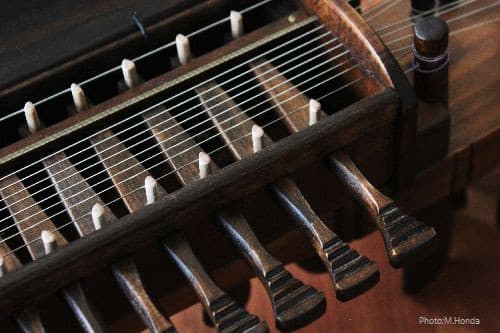 【税込】 ニッケルハルパの歴史と種類、その2 - スウェーデン音楽留学 鍵盤楽器