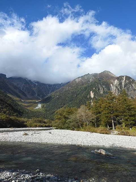 55年ぶりに上高地から見上げた穂高の山々 - 野のアザミ