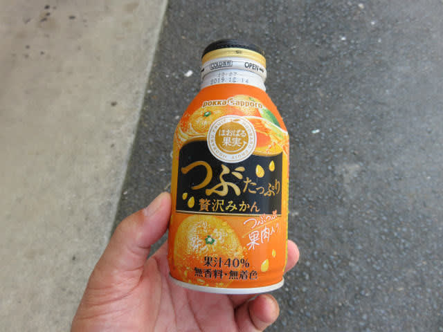 つぶたっぷり贅沢みかん400gボトル缶｜両備まごころネット