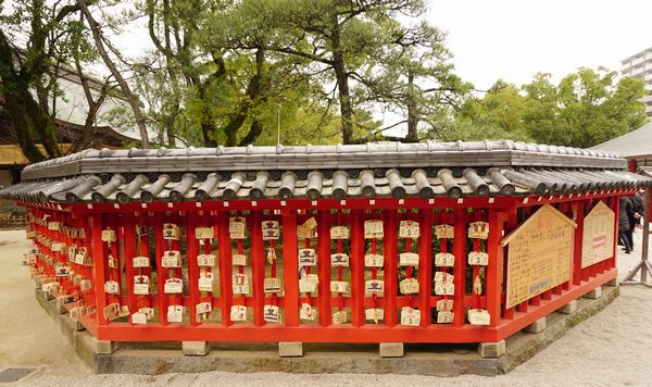 藁帽子（わらぼっち）と冬ぼたん 2017 ～ 筥崎宮花庭園