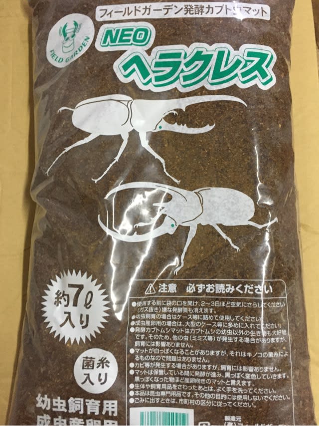 ☆本日…初売り🎵新春🎍昆虫福袋🎍開催☆ - カブト・クワガタの