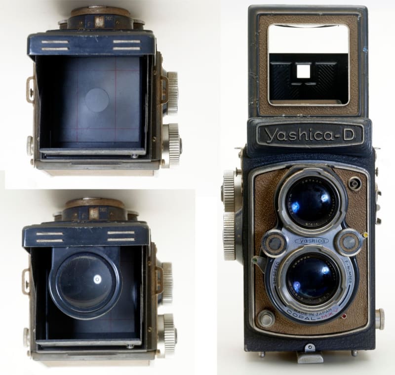 Yashica-D （120・DLR） - ぽせいどんの今日の一枚 +