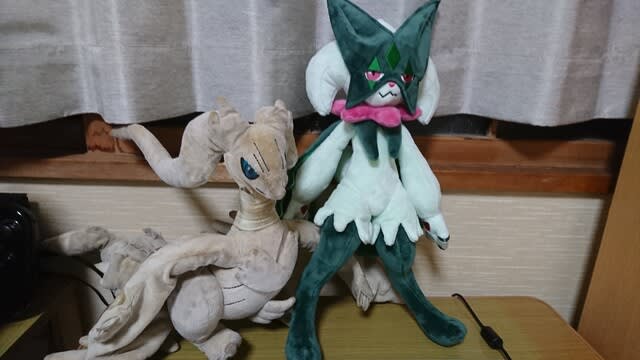 マスカーニャぬいぐるみレビュー - U-keyの気ままな日記