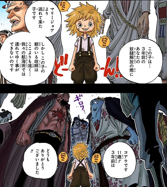 ワンピース 奴隷解放 誰？