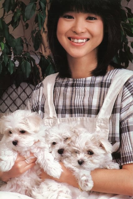 わんこと聖子ちゃん♡松田聖子 Believe In Love さいたま