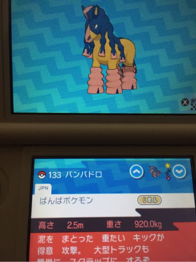 いろちがい バンバドロ やま うみ