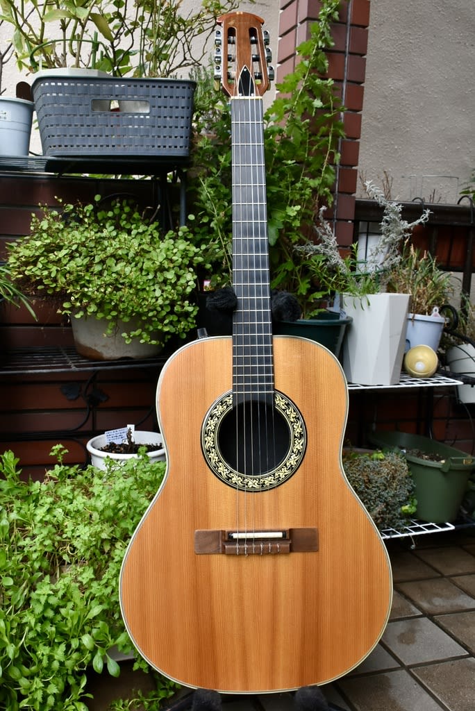 Ovation Country Artist 1624-4／#006024：1972年製