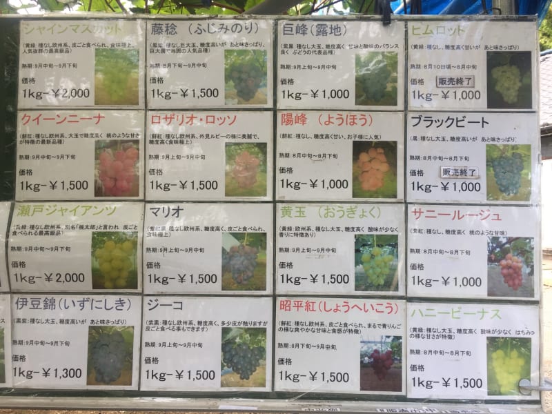 早川ぶどう園 水戸梅日記