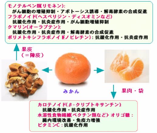 658)クエン酸ががんを消す：代謝をターゲットにしたがん治療の