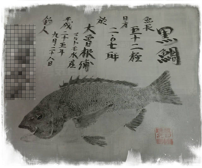 魚拓 黒鯛魚拓 チヌ魚拓 クロダイ魚拓 魚長53.0cm 拓寸52.5cm