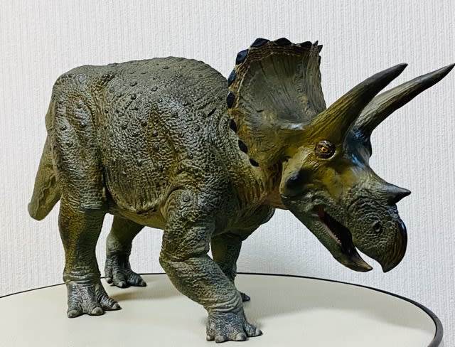 トリケラトプス(メガソフビアドバンス) - MY COLLECTIONS トリケラトプス(メガソフビアドバンス) - MY COLLECTIONS