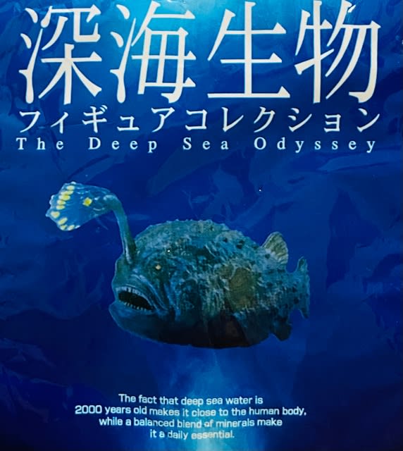日本水族館立体生物図録 グリーンイグアナ二種 寝返る