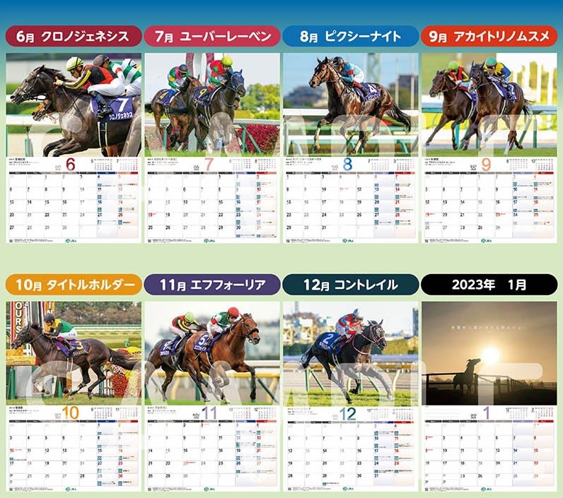 2022カレンダー 武豊 競馬 （日本ダービー】喜び爆発の武豊