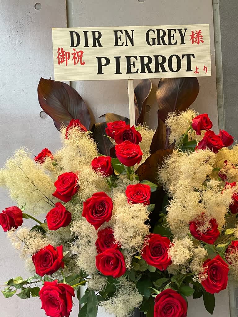 DIR EN GREY 「a knot」LIMITED SHIBUYA-AX- TOUR09 FEAST OF V SENSES | DIR EN GREY OFFICIAL SITE