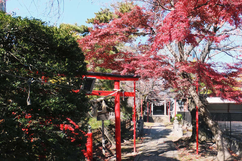 群馬県文書館で撮った絵図「前橋旧図」の写真片手に、前橋のまち 群馬県文書館で撮った絵図「前橋旧図」の写真片手に、前橋のまち